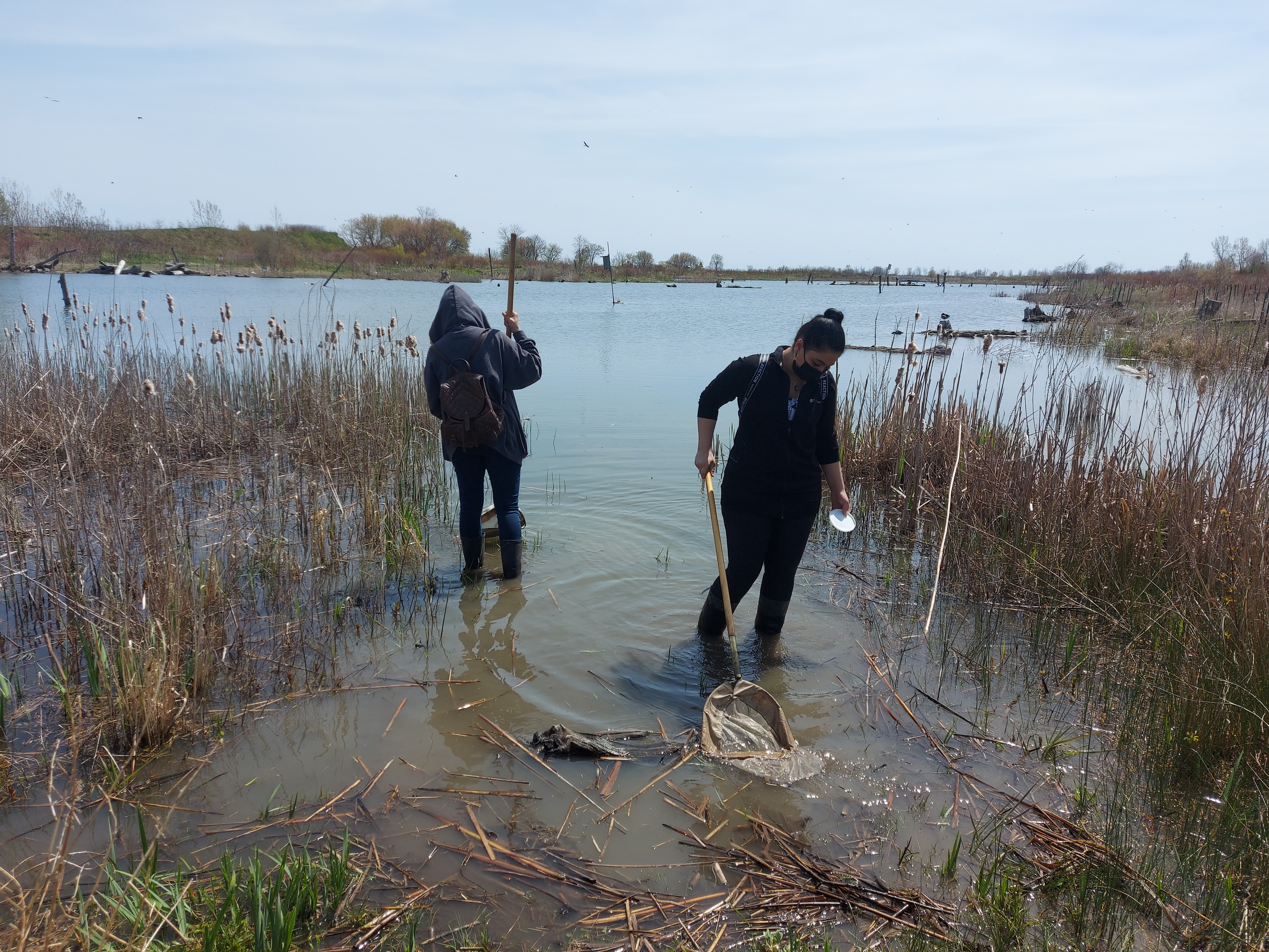 Trip to Tommy Thompson Park Open Gallery